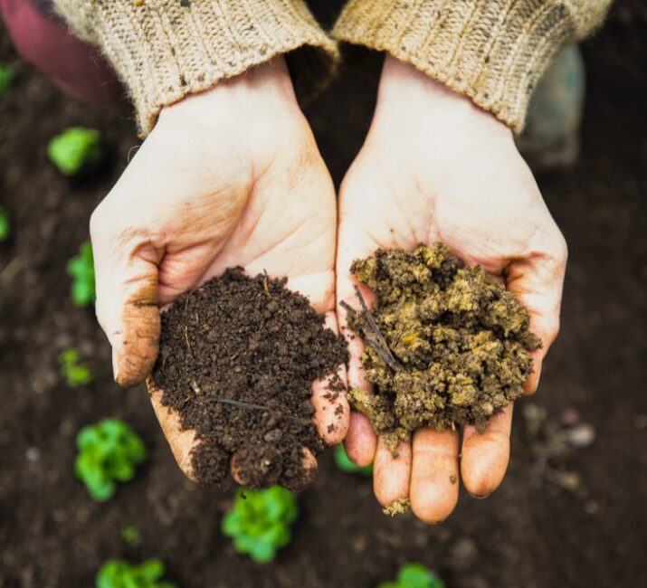 dechets organiques ecologie terre ardvina
